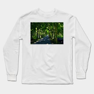 A Dappled Path Long Sleeve T-Shirt